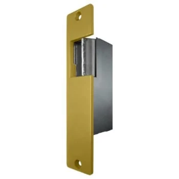 Trine 00 Series 696 8-16 Vac/4-6 Vdc Strike Plate (Brass)