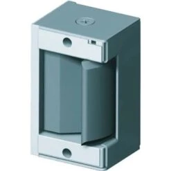 Trine Access Technology Trine 3000 Series Lck Body Axion Elec Strike 12/24 Ac/dc